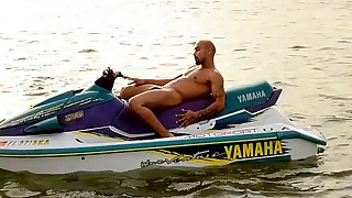 Ari Gypsy Jerk Elsewhere Singular